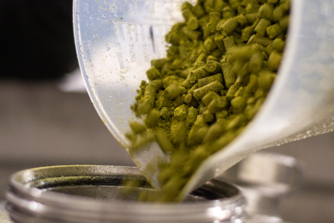 Cryohops Fresh from the Freezer